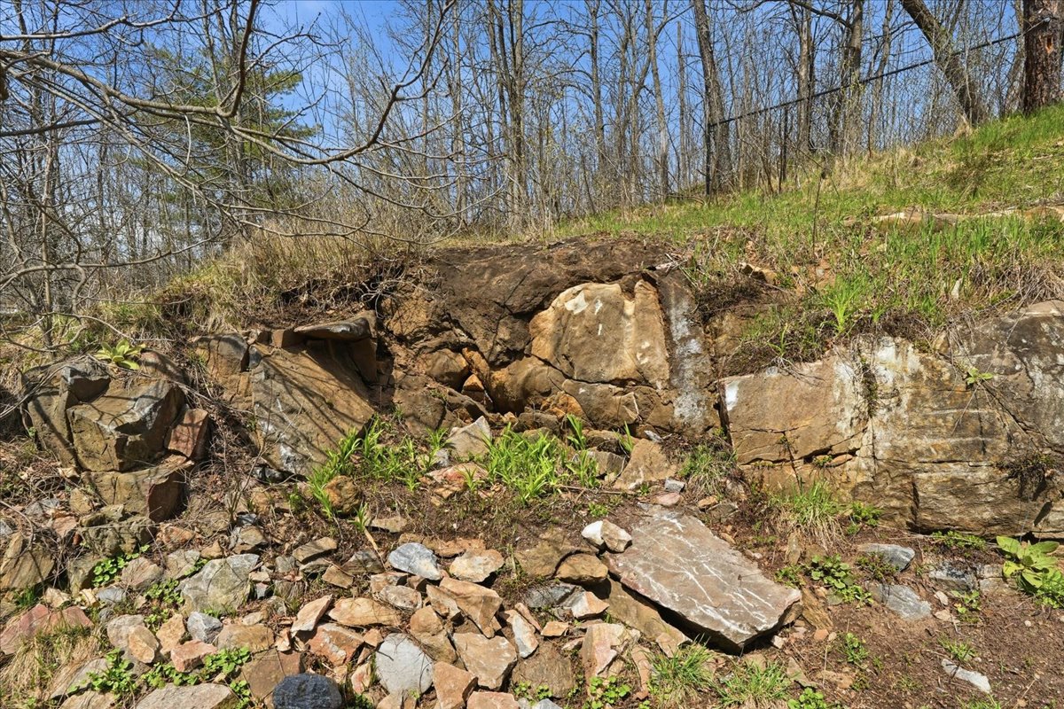 27-DSC09994