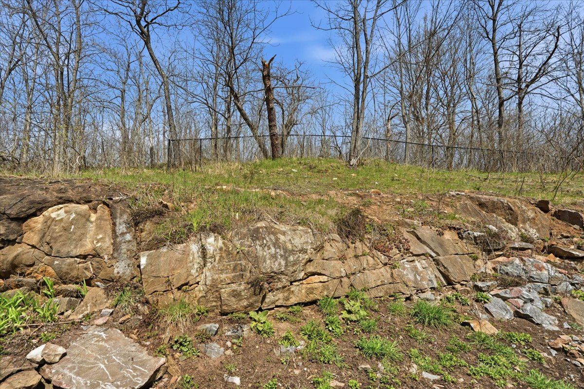 28-DSC09997